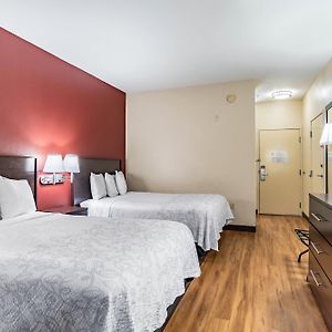 Deluxe Room Two Double Beds Smoke